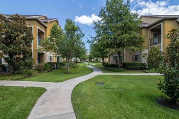 Open lawn area